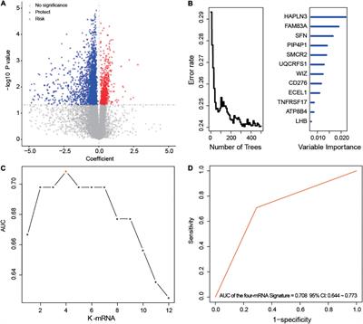 Development of a Four-mRNA Expression-Based Prognostic Signature for Cutaneous Melanoma